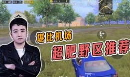 和平精英最新舞蹈爆料,揭秘最新爆料舞蹈亮点