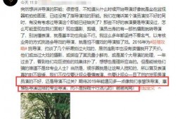最新小作文爆料新闻,小作文揭露惊人新闻内幕