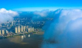 襄阳头条最新爆料,揭秘重大事件背后真相！